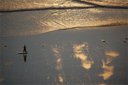 West Coast the Best Coast for Appeal Bonds