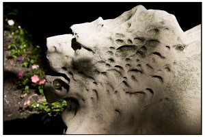 California Reconveyance Bond, Trust Deed Bond, and Deed of Trust Bond